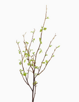 Birch Branch 102cm