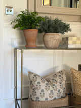 Cypress Bush Spray