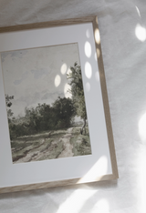 Countryside Art Print