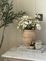 Terracotta Urn Pot