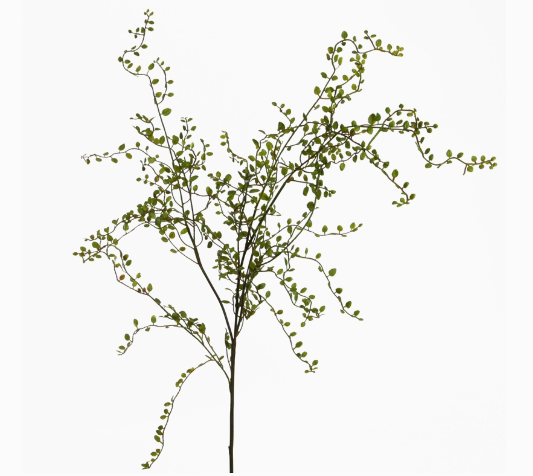 Mini Leaf Branch 100cm