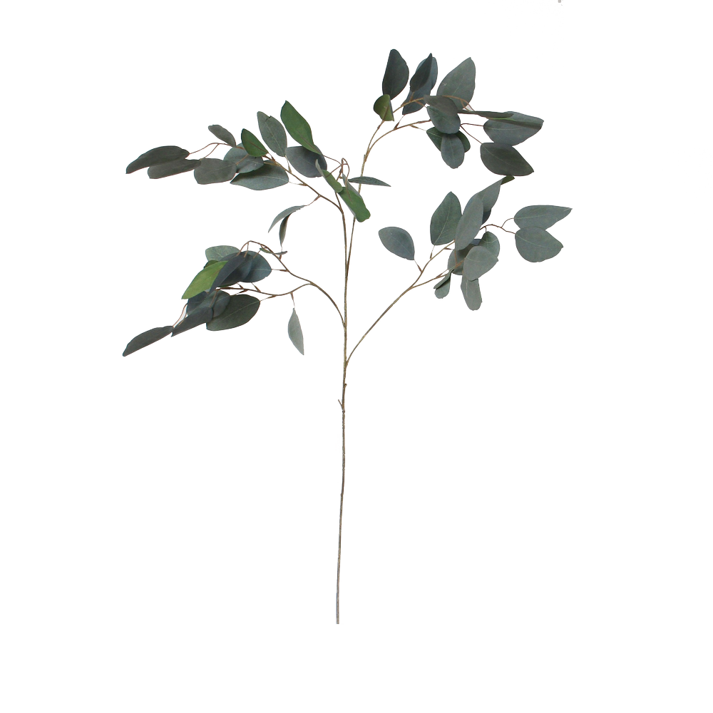 Silver Dollar Eucalyptus Spray