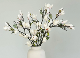 Magnolia Branch 80cm