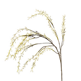 White Willow Spray