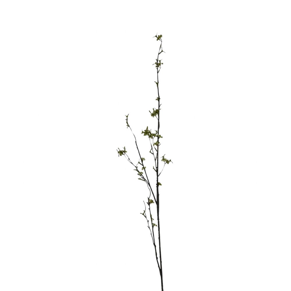 Berry Willow Stem