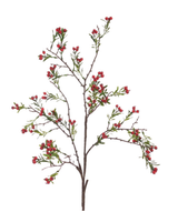 Berry Branch