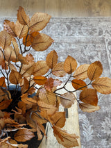 Beech Leaf Branch