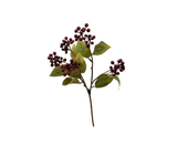 Burgundy Berry Branch
