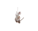 Biscuit the Christmas Mouse