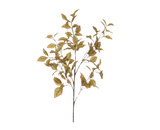Capsicum Leaf Spray