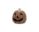 Chocolate Brown Pumpkin