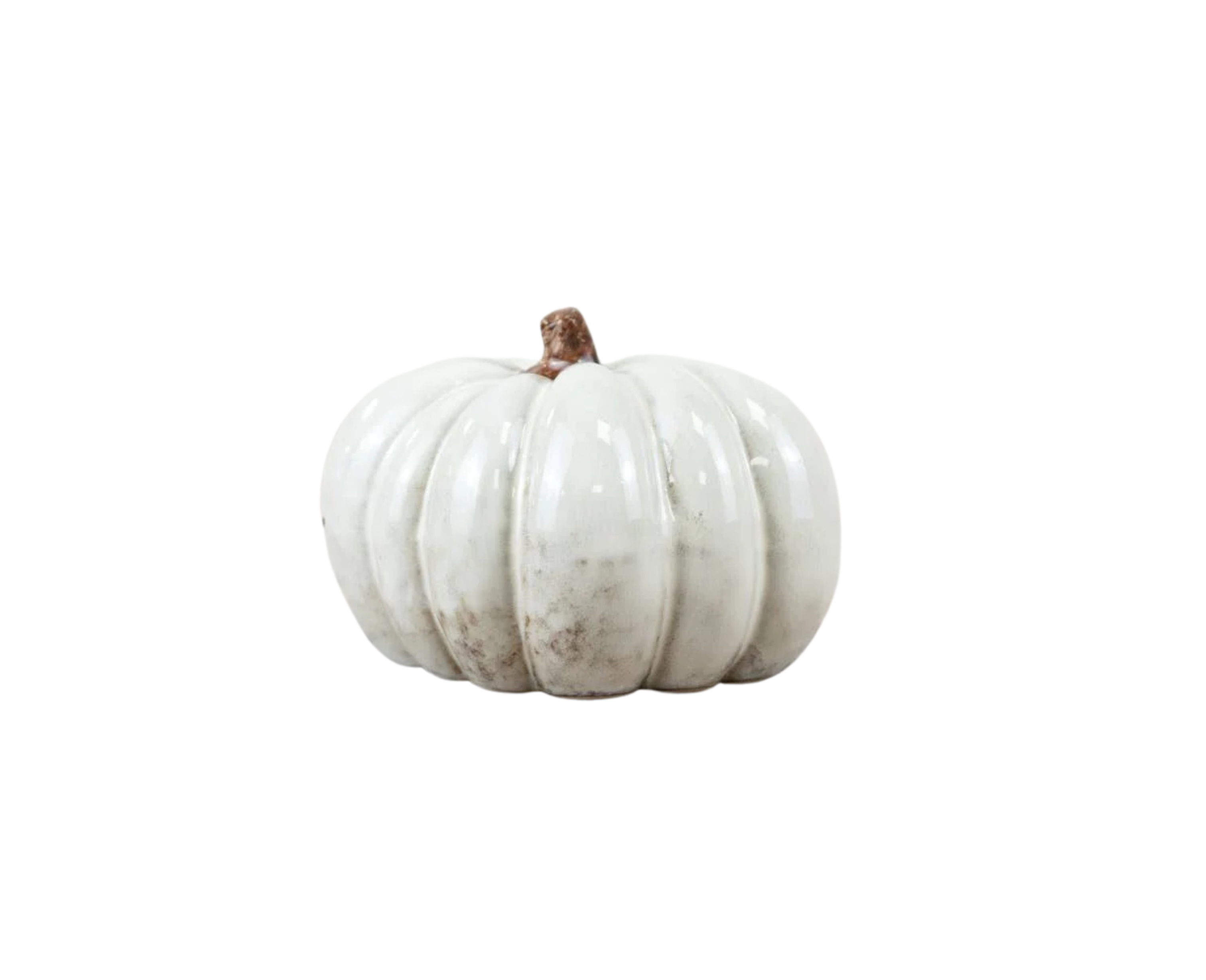 Dappled Brown Pumpkin