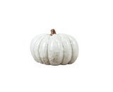 Dappled Brown Pumpkin