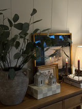 Silver Dollar Green Eucalyptus