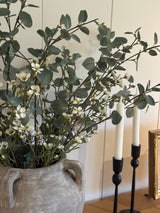 Tall Eucalyptus Stem