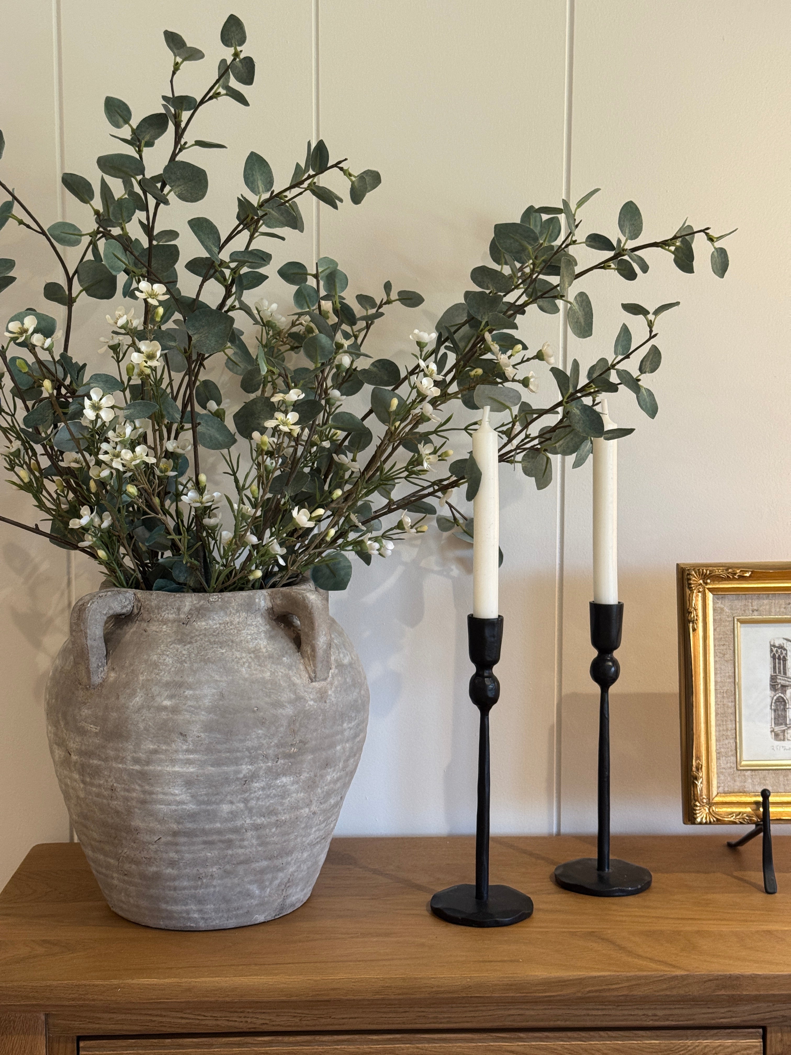 Tall Eucalyptus Stem