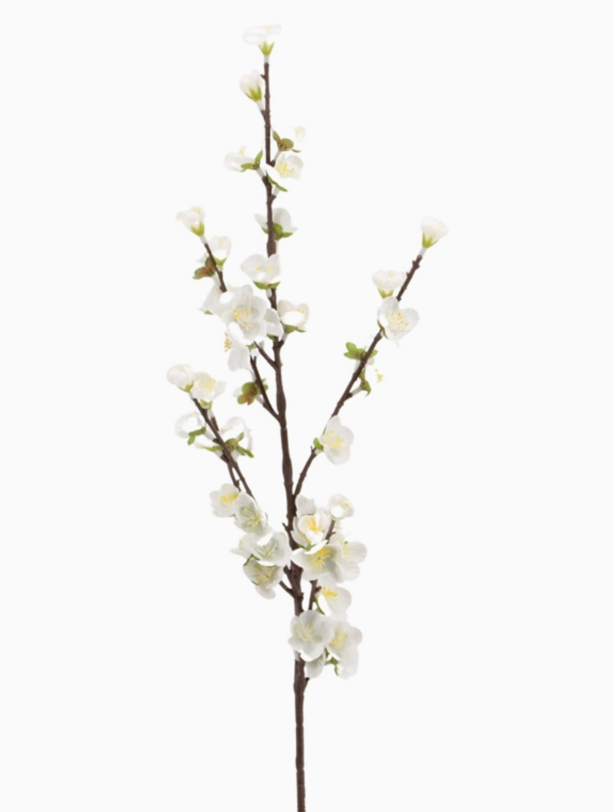 Plum Blossom Branch 80cm