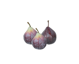 Set of 3 Figs
