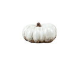 Small Dappled Brown Pumpkin
