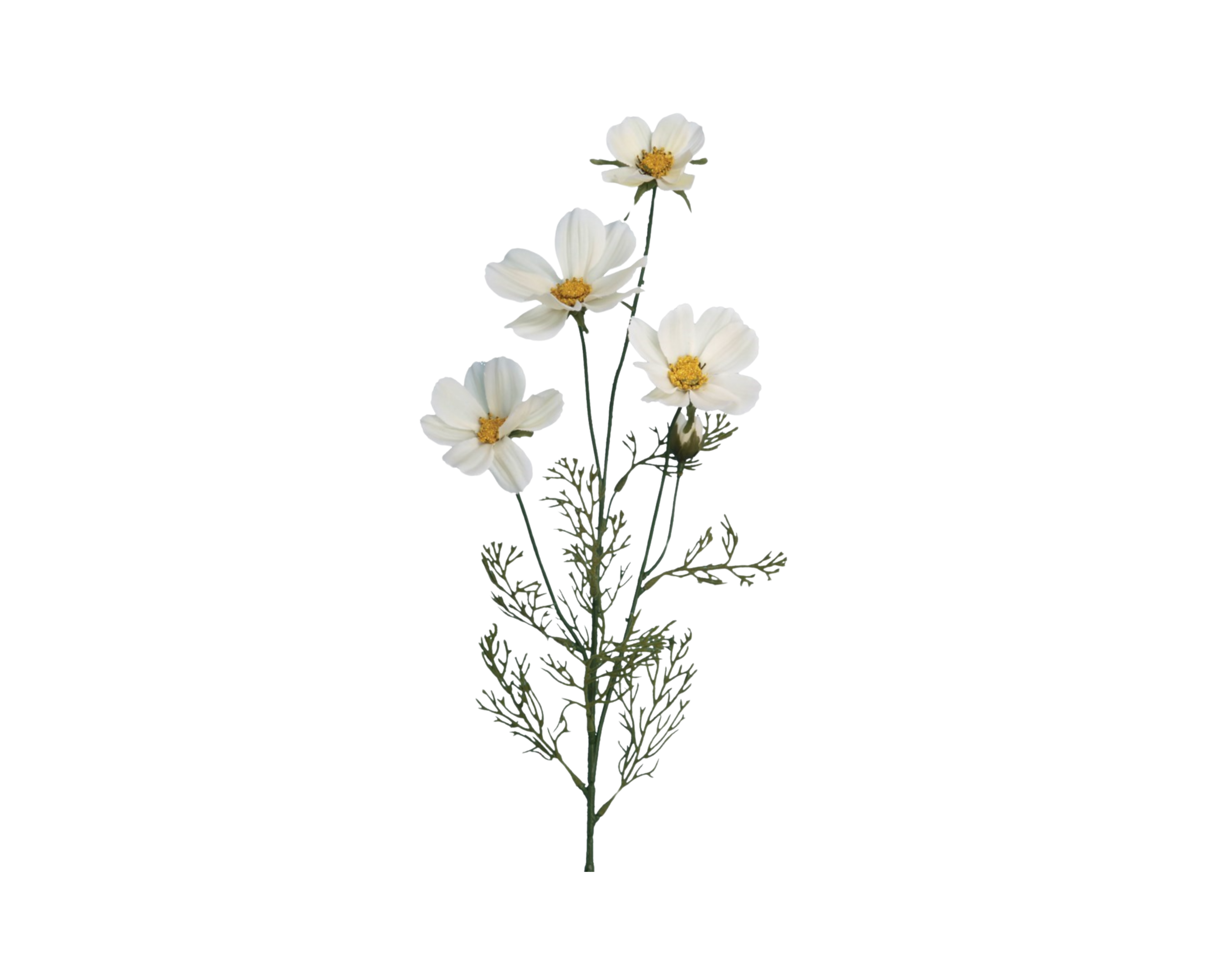 Cream Cosmo Flower Branch