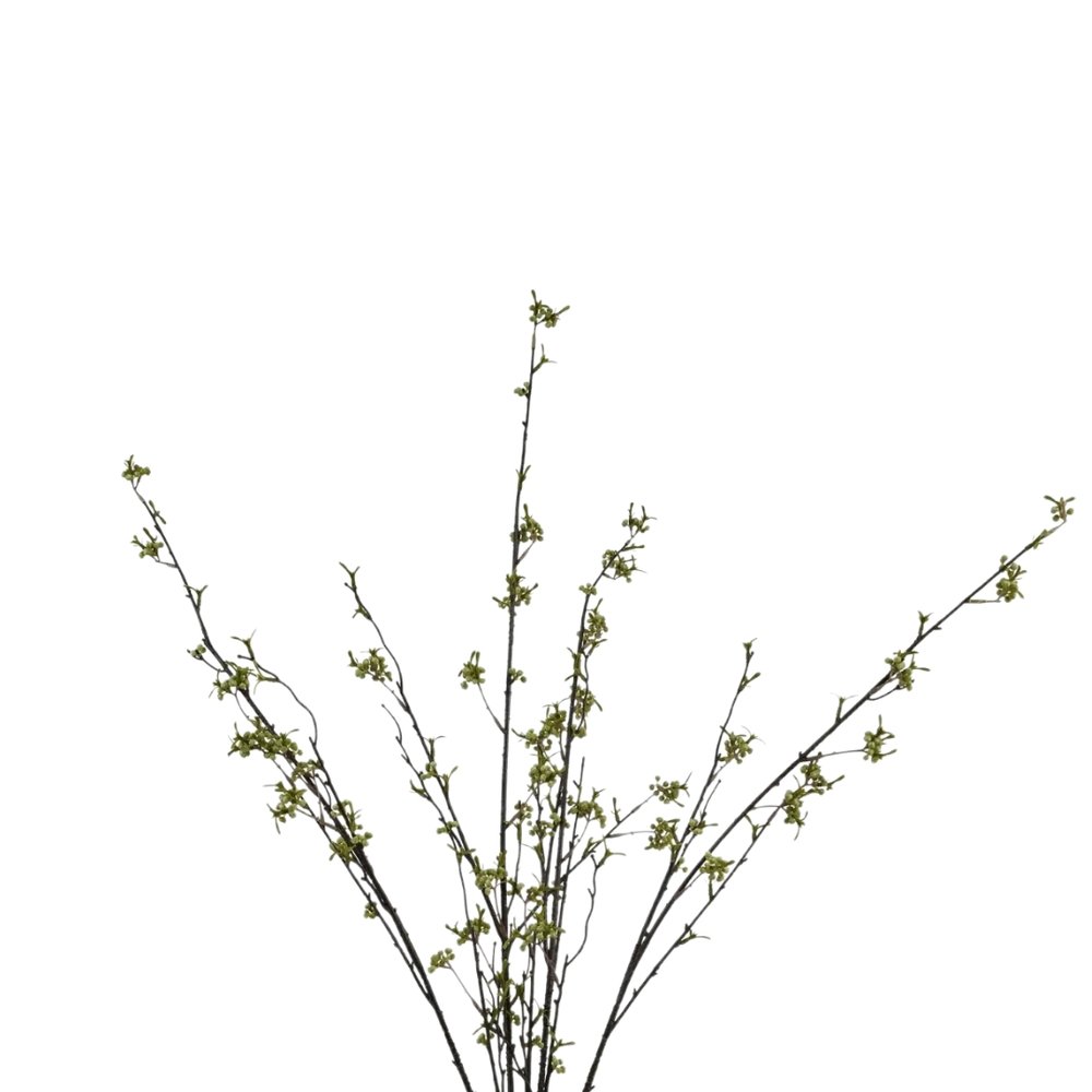 Berry Willow Stem