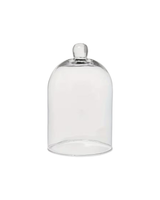 Glass Cloche