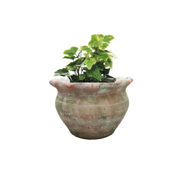 Vintage Pie Crust Plant Pot Large