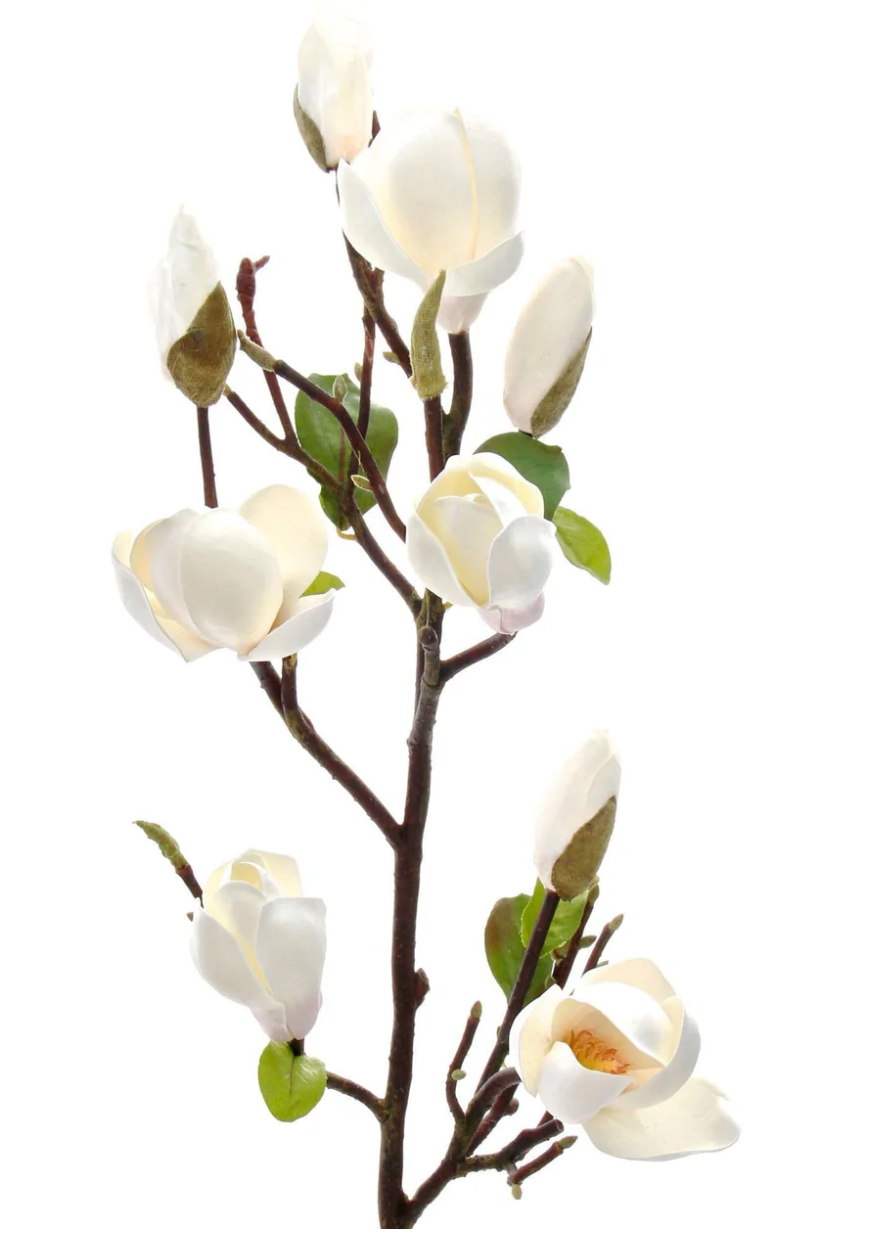 Magnolia Branch 80cm