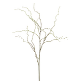 Willow Twig Stem