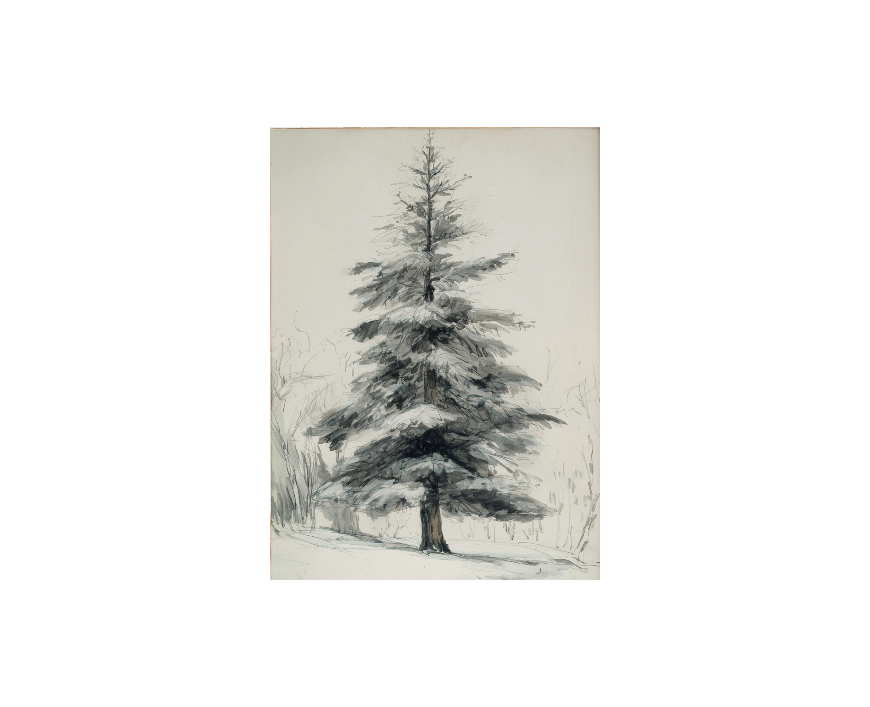 Winter Pine Tree Print