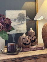 Chocolate Brown Pumpkin